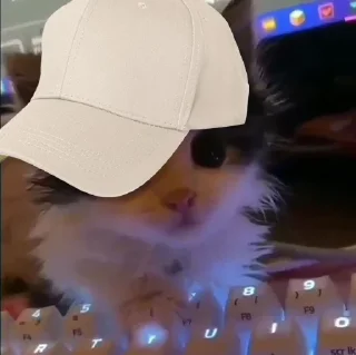 Стикер Создано матвеем @sozdat_stikery_bot - 9