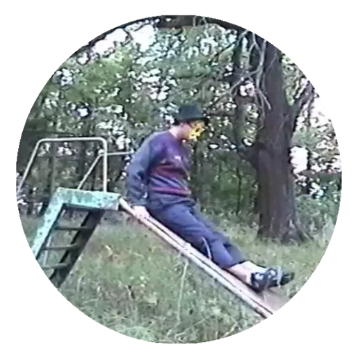 одежда дерево на открытом воздухе