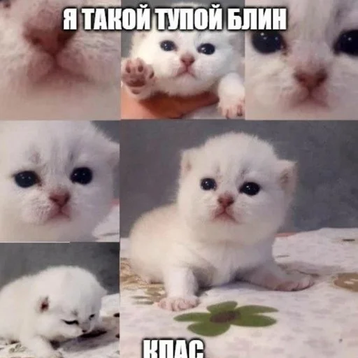 @StickerEdit_bot :: @StickerEdit - 