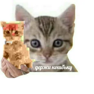 Sticker @StickerEdit_bot :: @StickerEdit - 8