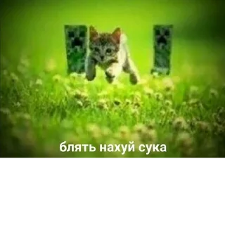 Sticker @StickerEdit_bot :: @StickerEdit - 9