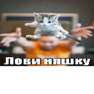 Sticker @StickerEdit_bot :: @StickerEdit - 6