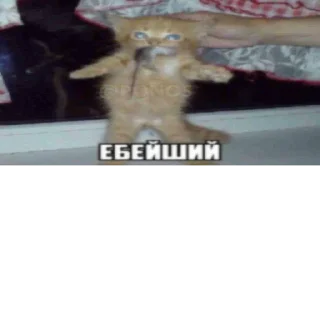 Sticker @StickerEdit_bot :: @StickerEdit - 4