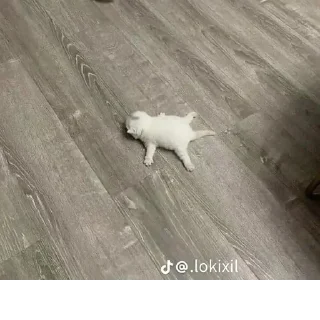 Стикер @StickerEdit_bot :: @StickerEdit - 3