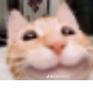 Стикер @StickerEdit_bot :: @StickerEdit - 11