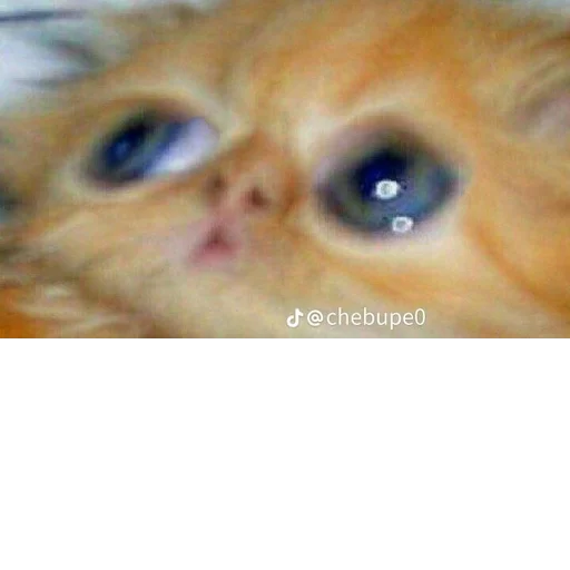 @StickerEdit_bot :: @StickerEdit - 