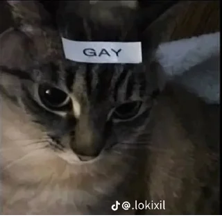 Стикер @StickerEdit_bot :: @StickerEdit - 4