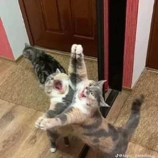 Стикер @StickerEdit_bot :: @StickerEdit - 1