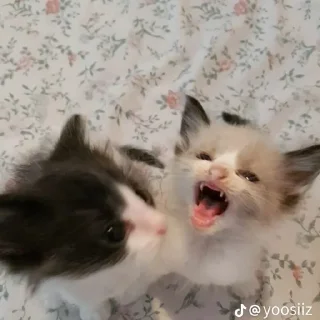 Стикер @StickerEdit_bot :: @StickerEdit - 2