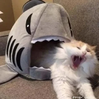 Стикер @StickerEdit_bot :: @StickerEdit - 10