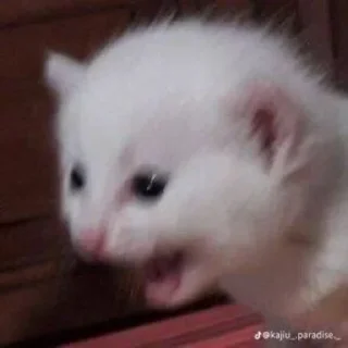 Стикер @StickerEdit_bot :: @StickerEdit - 8