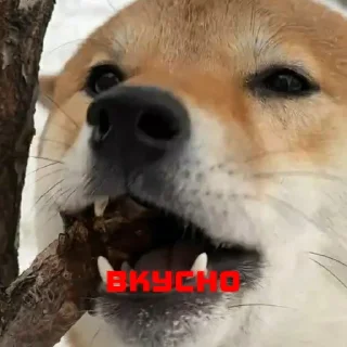 Стикер Создано в @StickerEdit_bot - 10