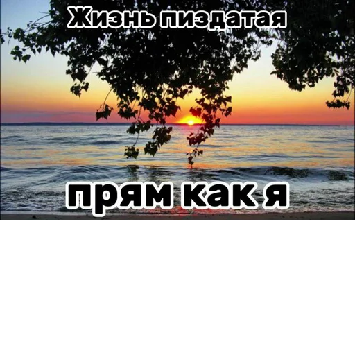 Sticker s3344075998328_by_StickerEdit_bot - 1