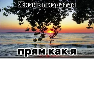 Sticker @StickerEdit_bot :: @StickerEdit - 7