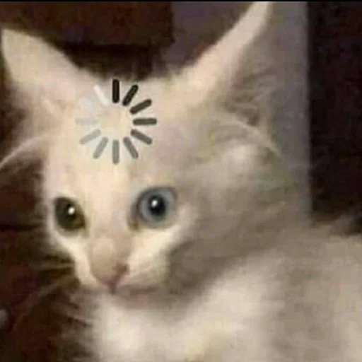 Sticker s3399223145930_by_StickerEdit_bot - 1