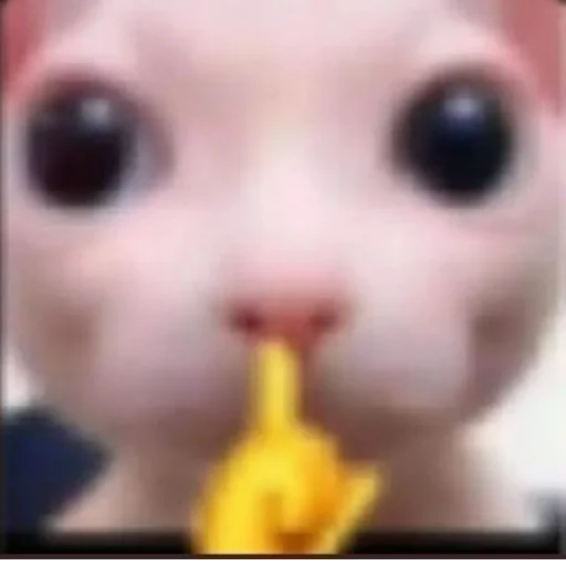 Стикер s3399223145930_by_StickerEdit_bot - 1