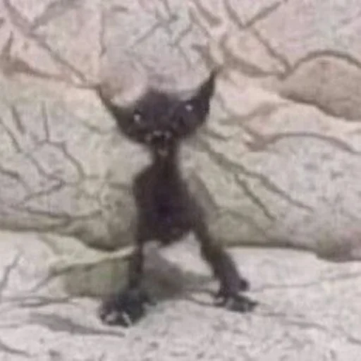 Sticker s3399223145930_by_StickerEdit_bot - 1