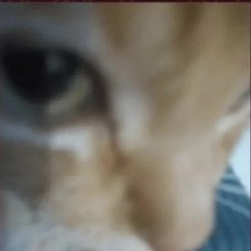 Sticker s3399223145930_by_StickerEdit_bot - 1