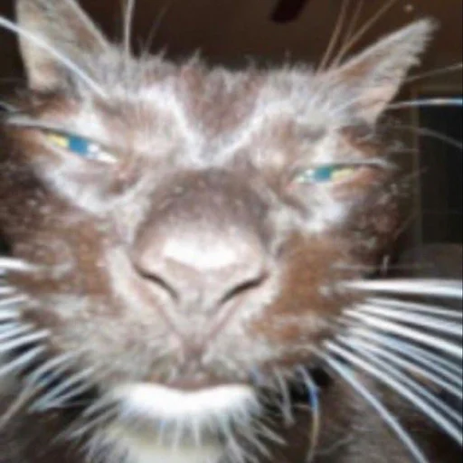 Создано в @StickerEdit_bot - 