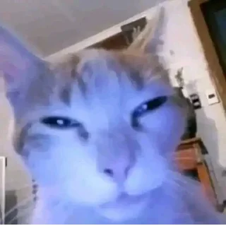 Стикер Создано в @StickerEdit_bot - 2