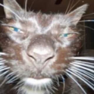 Стикер Создано в @StickerEdit_bot - 11