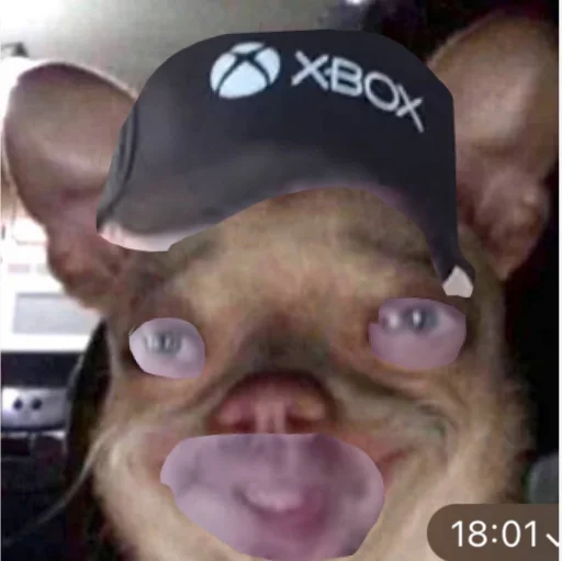 Suda idi @sozdat_stikery_bot - 