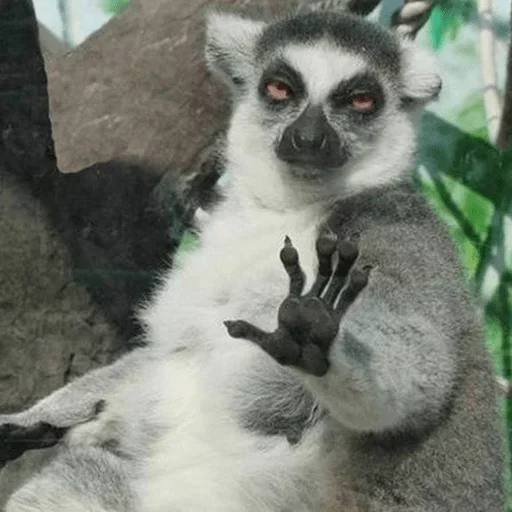 Sticker s352836786_by_fStikBot - 1