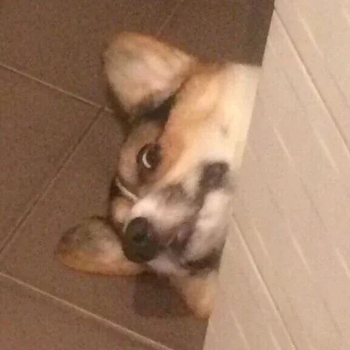 Favorite Sticker by @fStikBot - 