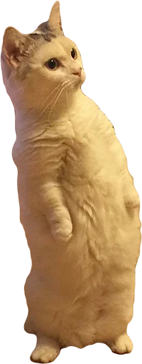 Sticker Favorite Sticker by @fStikBot - 8