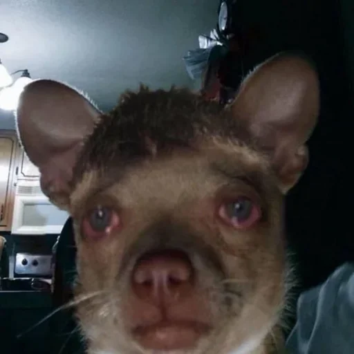 Sticker Favorite Sticker by @fStikBot - 7