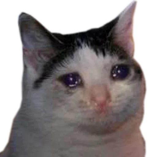 Sticker Favorite Sticker by @fStikBot - 5