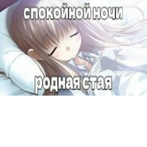 Sticker s3697807002890_by_StickerEdit_bot - 1