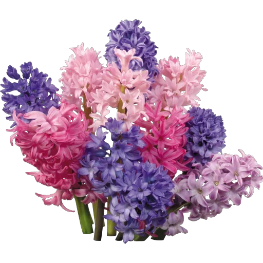 Sticker s370393502_by_fStikBot - 1