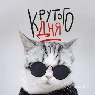 Стикер @StickerEdit_bot :: @StickerEdit - 5