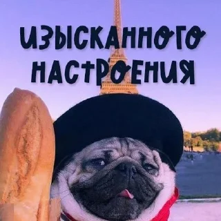 Стикер @StickerEdit_bot :: @StickerEdit - 6