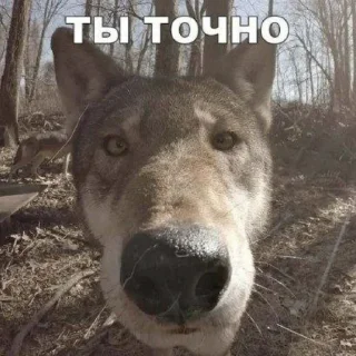 Sticker @StickerEdit_bot :: @StickerEdit - 0