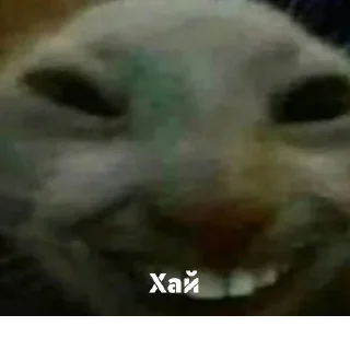 Sticker @StickerEdit_bot :: @StickerEdit - 1