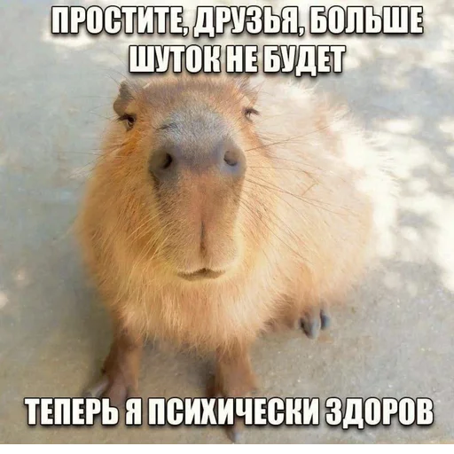 Sticker s3839744322540_by_StickerEdit_bot - 1