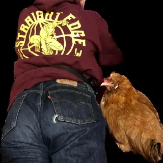 Стикер Создано в @StickerEdit_bot - 0