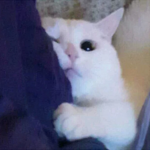 Sticker Favorite Sticker by @fStikBot - 1