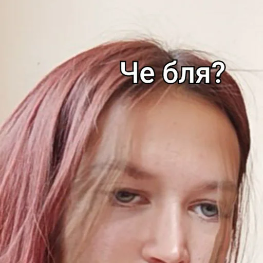 @StickerEdit_bot :: @StickerEdit - 