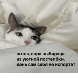 Sticker @StickerEdit_bot :: @StickerEdit - 8