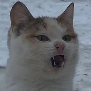 Sticker @StickerEdit_bot :: @StickerEdit - 9