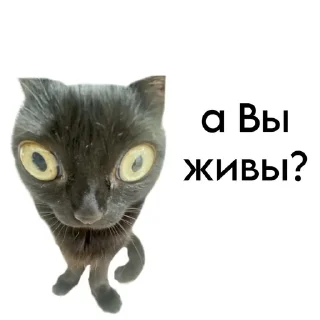 Sticker @StickerEdit_bot :: @StickerEdit - 3