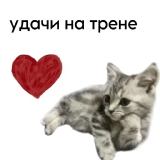 Sticker @StickerEdit_bot :: @StickerEdit - 0