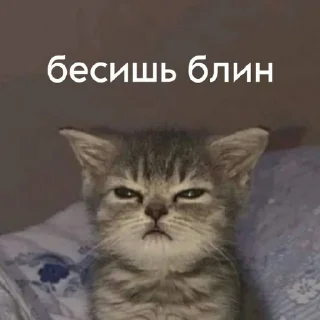 Sticker @StickerEdit_bot :: @StickerEdit - 10