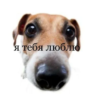 Sticker @StickerEdit_bot :: @StickerEdit - 5