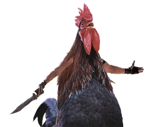 мультфильм птица курица