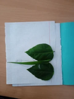 Sticker Кр @sozdat_stikery_bot - 10