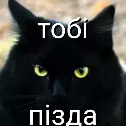 Стикер Favorite Sticker by @fStikBot - 8